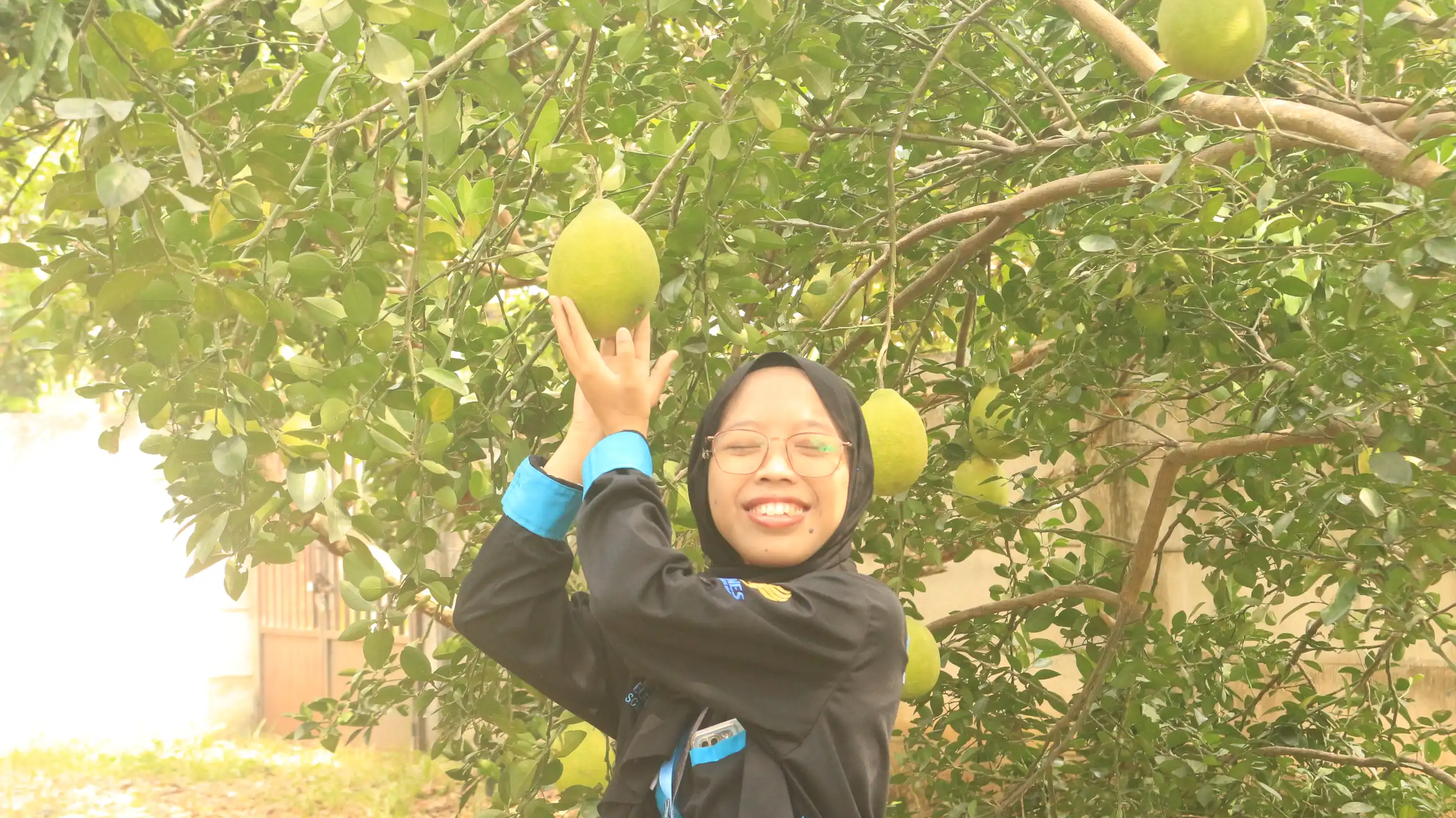 Galeri Kegiatan Pengabdian Smart Farming Mijen